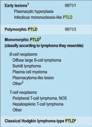 PTLD Erken lezyon (EMN benzeri, malign transformasyon yok, poliklonal B hücre proliferasyonu) Polimorfik PTLD (Poliklonal veya monoklonal lenfosit