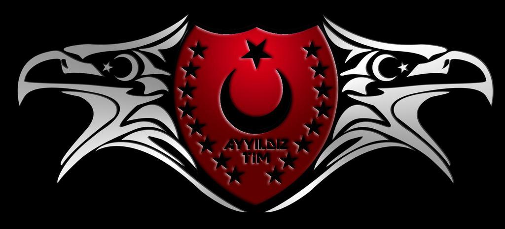 Türkiye aleyhine yapılan saldırıları engellemeye çalışan ve Türkiye lehine saldırılar yapan hactivist gruptur.