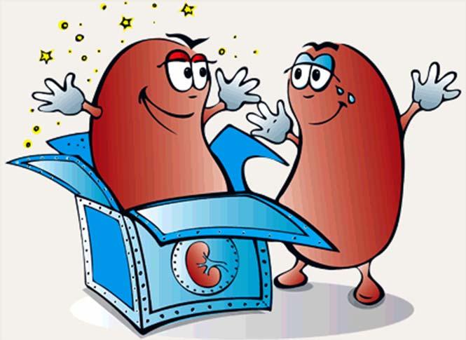 Renal transplantasyona uygun olan ve hazırlık aşamasında iyi