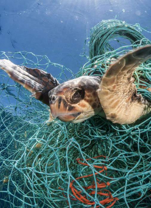 Gelecek nesillere daha yaşanabilir bir Dünya bırakmak için Pakkan öğrencileri olarak plastik bardak kullanımını ortadan kaldırmaya yönelik bir kampanya başlattık.