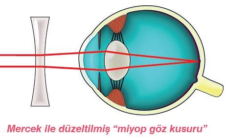 düşmesi gereken yerden daha öne düşer Kalın