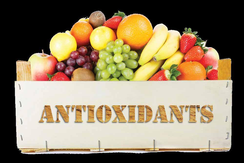 VİTAMİNLER OKSİDAN ANTİOKSİDAN DENGEYİ NASIL ETKİLİYOR? HOW DO VITAMINS AFFECT OXIDANT ANTIOXIDAN BALANCE?