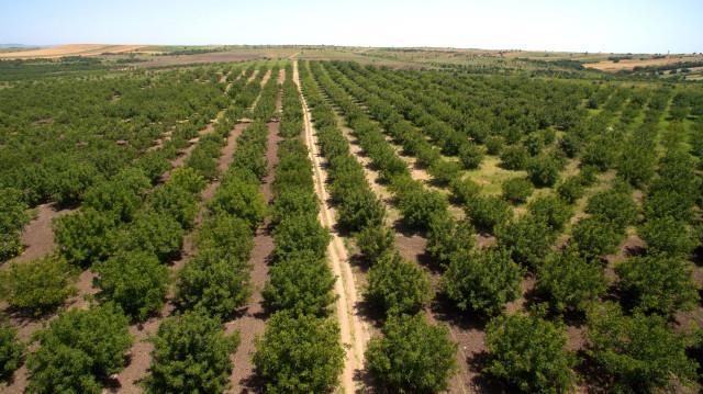 DOĞAL YÖNTEMLER Temiz Su Habitat Taşkın