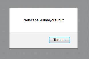 <html> <head> <script language="javascript"> function hangibrowser() { var tur =navigator.appname+" "+navigator.