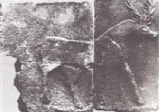 Ö. 530-20 İon atlı av sahnelerinin (Resim 35) çağdaşı örnek olarak, Gordion dan bir pismiş