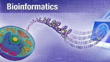 Biyoinformatiğin üçüncü amacı ise üretilen bu araçları kullanarak verileri analiz