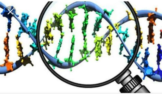 Bu protein kompleksi çok faktörlü bir komplekstir.