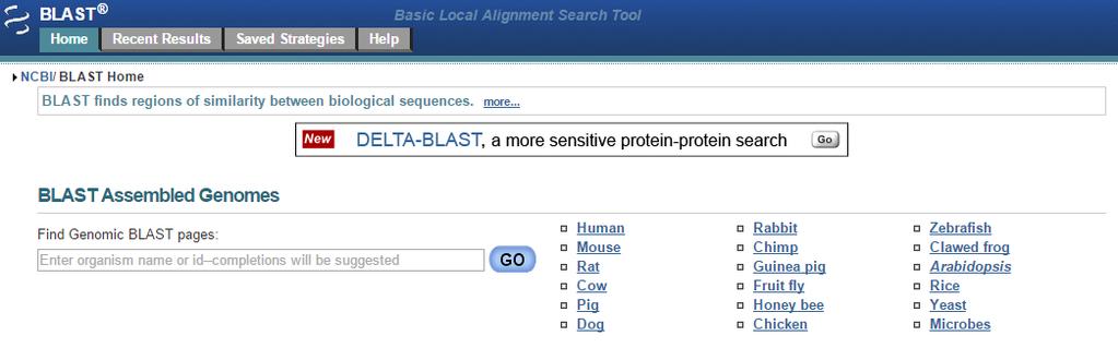 NCBI web