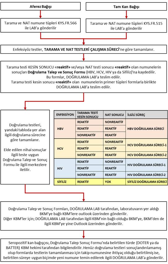 ENFEKSİYÖZ