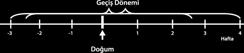 Geçiş Dönemi Nedir? Süt ineklerinde kuru dönemin son 3 haftası ile laktasyonun ilk 4 haftasını kapsayan döneme denir.