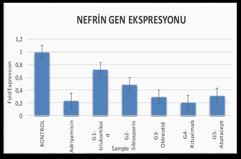 SONUÇLAR