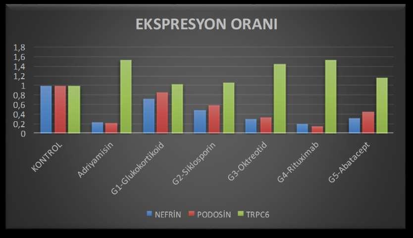 SONUÇLAR