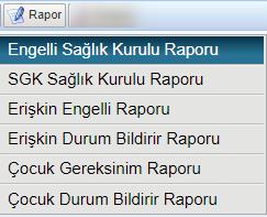 Görsel 20 Rapor Butonu Görsel 21 Araç Çubuğu Araç çubuğunda yer alan diğer butonların işlevleri ise şu şekildedir; Yeni butonu, yeni rapor türünün hazırlanabilmesi için veri girişi yapılmamış form