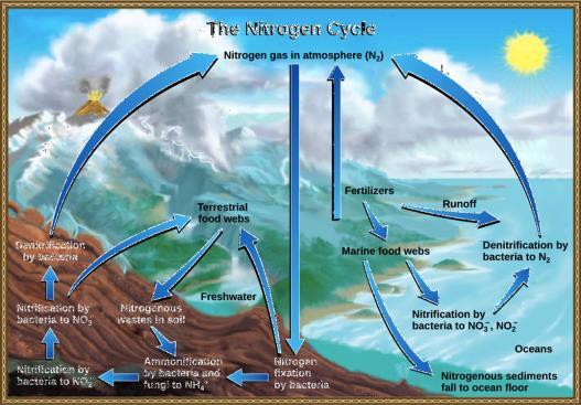 Su ve Kısa Ömürlü Gazlar Atmosfer çok değişik miktarlarda su içerir. Okyanuslarda evaporasyon ve bitkilerde transpirasyon, hidrolojik döngüdeki önemli kaynaklardır.