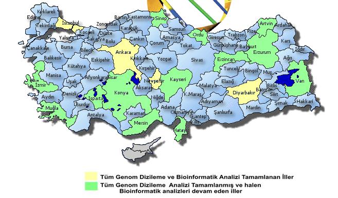 Projenin ilk basamağında 4 şehirden (İstanbul, Ankara, Nevşehir ve Diyarbakır) bireyler seçildi ve yüksek kalitede DNA dizilemeleri gerçekleştirildi.