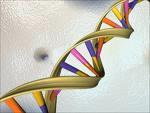 Genom, bir organizmanın DNA sının tamamı olup o