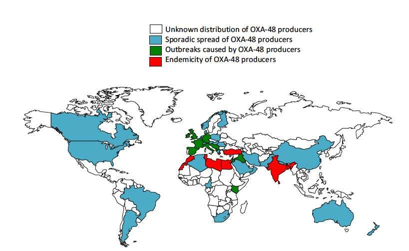 Epidemiology of OXA-48 Producers Nordmann