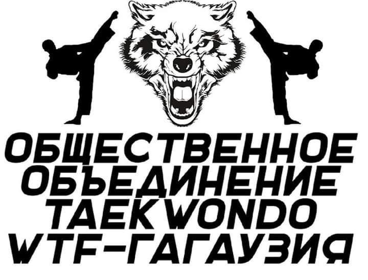 İlk aşamada, Moldova Tekvando Federasyonu spor malzemeleri sağladı, sporcuların ebeveynleriyle birlikte özel ekipmanlar satın alındı.