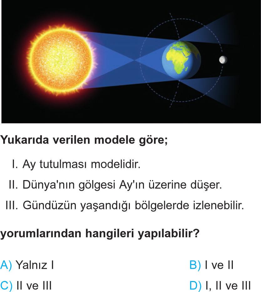 BİLİMLERİ