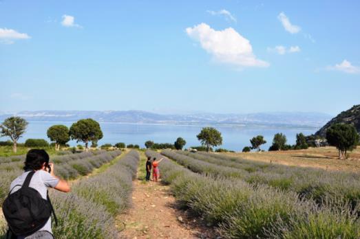 Isparta Tanıtım Filmleri Isparta ilimizin turizm potansiyelinin yurt içinde ve yurt dışında daha etkin tanıtımını sağlamak amacıyla hazırlanması kararlaştırılan Isparta Tanıtım Filmi