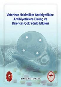 Antibiyotik direnci kontrol altına almak için bazı stratejik konulara önem göstermek gerekir.