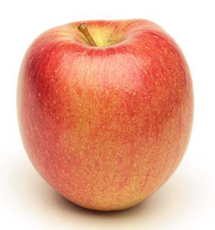 oldukları çalışmalarında Williams Pride elma çeşidinin ortalama yıllık en düşük sıcaklıkların -34,4 C ile -28.