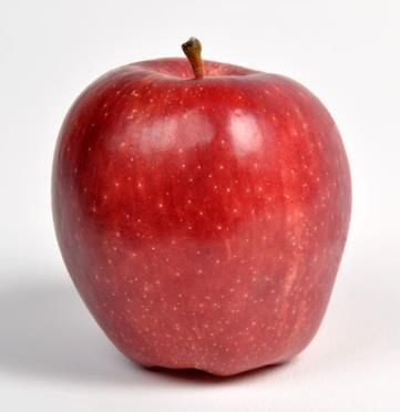 Red Chief 1970 li yılların başında Fred Campbell isimli araştırmacı tarafından Amerikada Red Delicious elma çeşidi üzerinden