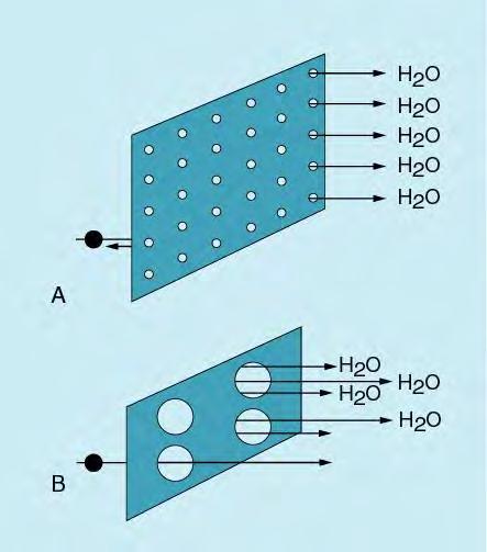 Ultrafiltasyon Su moleküllerinin hidrostatik