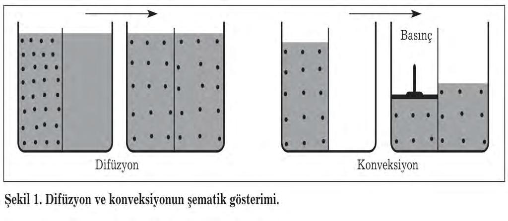 Konveksiyon Ultrafiltrasyon sırasında suyun