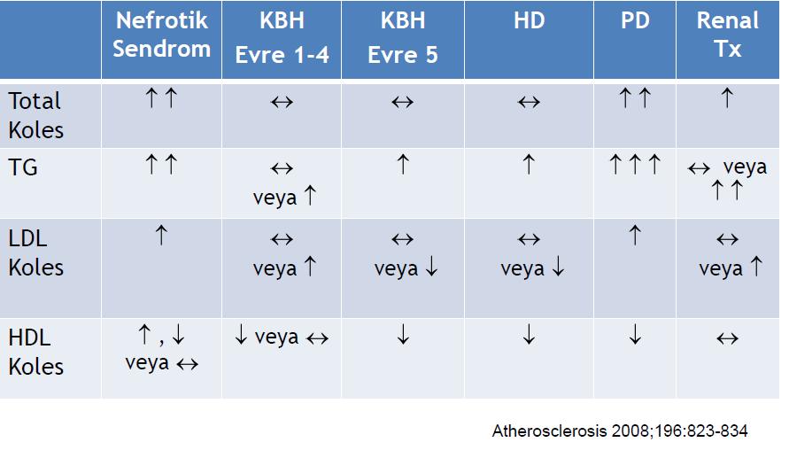 KRONİK BÖBREK HASTALIKLARINDA