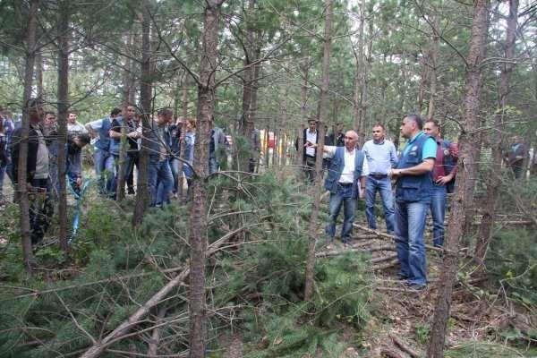 Bu amaçlar, ormanı oluşturan her meşcere için