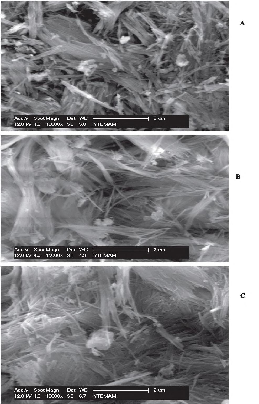 H er üç örneğe ait SEM fotoğrafları incelendiğinde, termal aktivasyona tabi tutulan sepiyolit örneklerinde lifsi yapının belirgin bir şekilde mevcut olduğu ve maksimum yüzey alanına sahip olduğu