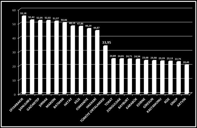 2013 YILI TÜRKİYE DURUM TESPİTİ 2013 Yılı Aile