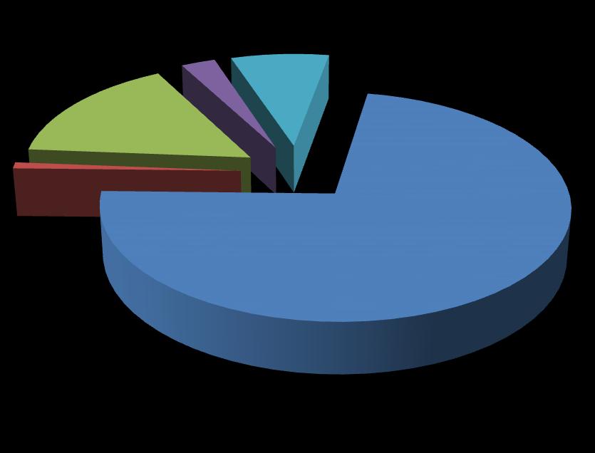 Grafik 7: 2018 Fonksiyonel Sınıflandırmaya Göre KBÖ Dağılım Oranları 2,74% 7,86% Eğitim Hizmetleri 0,90% 15,91% Dinlenme Kültür ve Din Hizmetleri Sağlık Hizmetleri 72,58% Kamu Düzeni ve Güvenlik