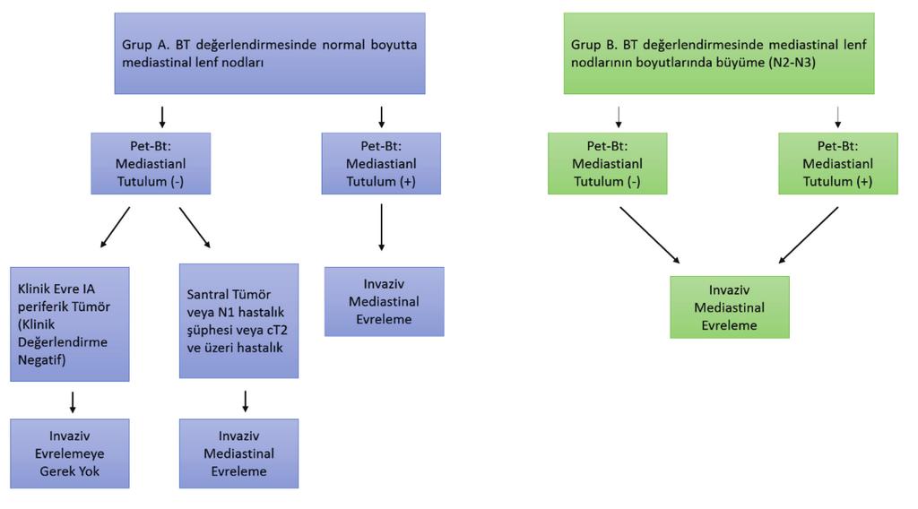 54 T1-3 N2 KHDAK de Cerrahi Tedavi Yaklaşımları / Surgical Treatment Approaches in T1-3 N2 NSCLC rasyon biyopsinin, cerrahi biyopsi öncesi yapılmasını önerilmektedir (iğne biyopsilerinin negatif