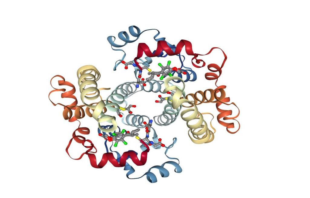 Şekil 1.1: GSTA1-1'in etakrinik asit (EA) ve GSH ile yapılan kompleksin üç boyutlu yapısı.