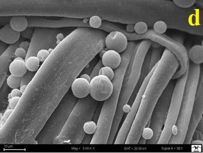 Kumaşların morfolojik analizleri taramalı elektron mikroskobu (Carl Zeiss Evo LS10) ile gerçekleştirilmiştir.