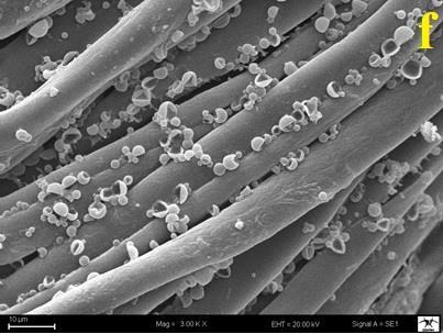 00 KX) Taramalı elektron mikroskobu analizi sonucu m-fdm içermeyen pamuklu dokuma kumaşların düzgün ve pürüzsüz bir yüzey yapısına sahip olduğu görülmüştür (Şekil 2(a-b)).