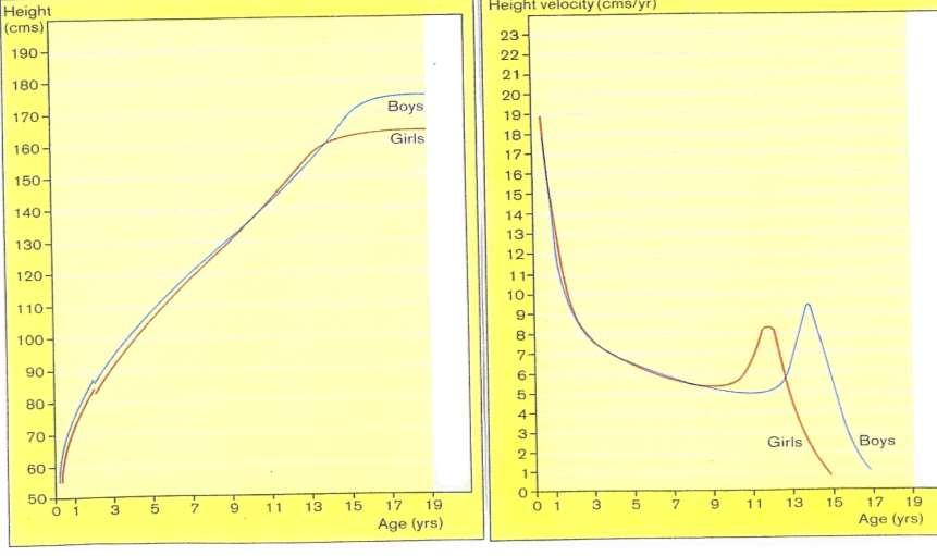 Boy cm Büyüme hızı cm/yıl Erkek kız kız erkek