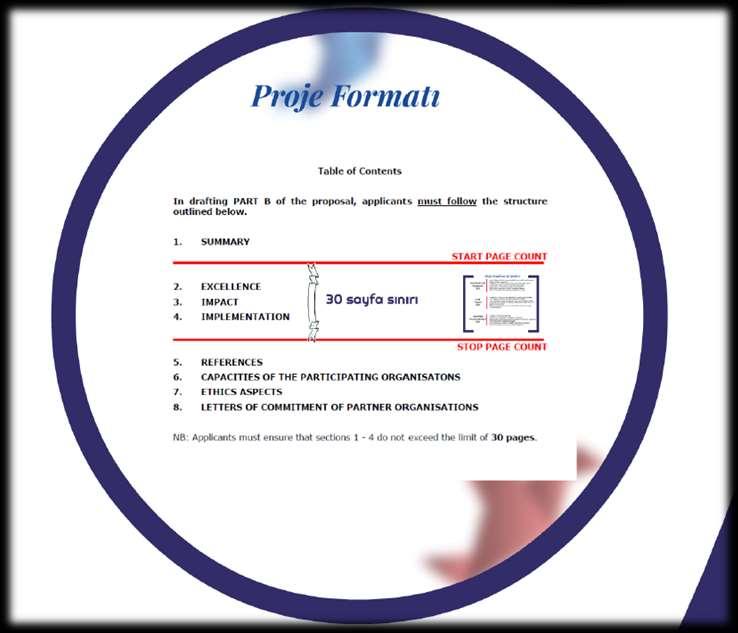 Araştırma ve Yenilikçilik Değişim Programı (RISE) Çağrı Bütçesi: 80 m.