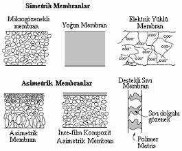 heterojen yapıya sahip membranlar olduğu bilinmektedir. eterojen membranlarda yüzeyde destekli bir grup vardır.