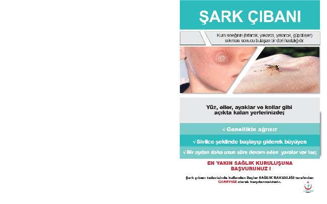 Şark Çıbanı Önleme Çalışmaları Aktif sürveyans Ücretsiz tedavi Arapça bilgilendirici broşür ve posterler