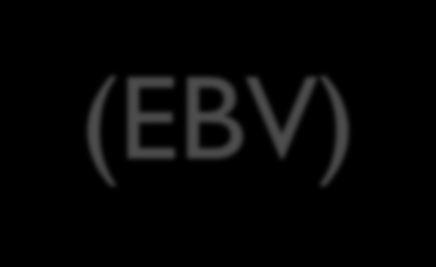 Epstein-Barr Virus(EBV) Herpesvirüs ailesinden çift sarmal yapıda bir DNA virusudur.
