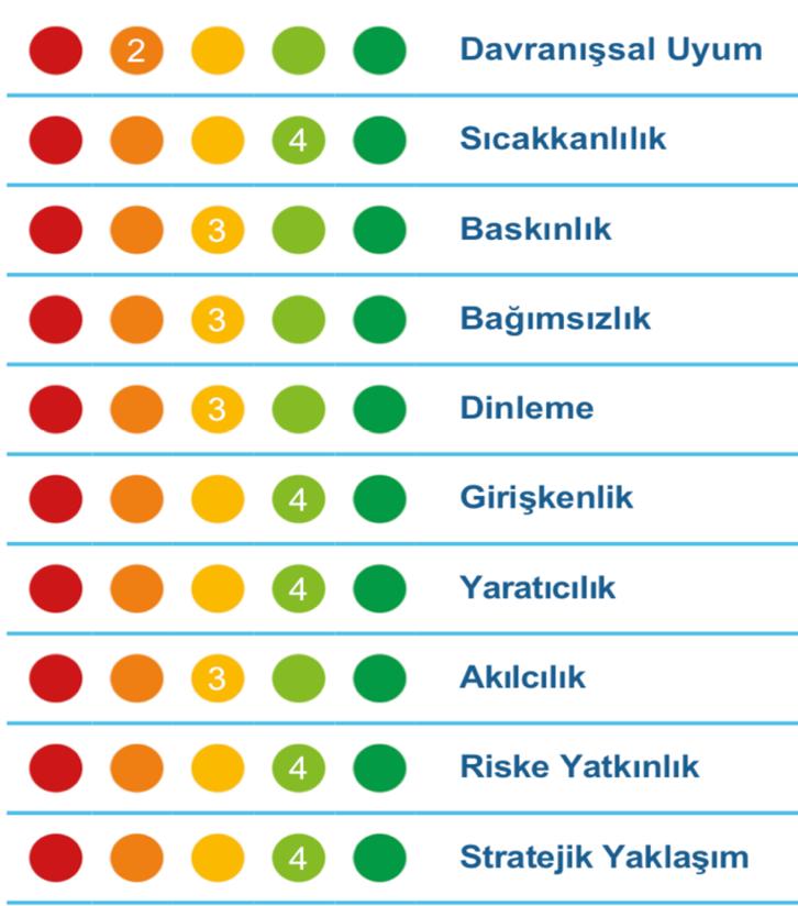 edinilmesini sağlıyor.