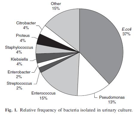 Pediyatrik renal tx Ateşli İYE: 40/110 (%36)