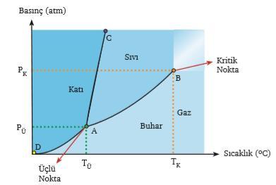 Faz Diyagramları AB (buharlaşma-yoğuşma) eğrisi: Maddenin buhar hâlden sıvı hâle veya sıvı hâlden buhar hâle geçebileceği sıcaklık-basınç değerlerini gösterir AC (erime-donma) eğrisi: Maddenin sıvı