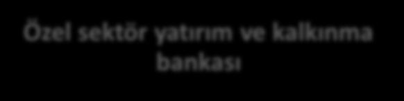 Ayrışan Bankacılık Modeli Özel sektör yatırım ve kalkınma bankası