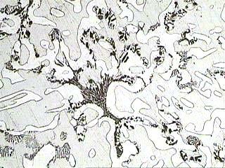 H SO 4 çözeltisi içerisinde krom-nikelli çelikler Çelik Mikroyapı x-ışınları difraksiyonu Counts 3 3 5 µm 4 6 8 θ Fe-.4C-8Cr-9Ni Counts 3 3 5µ m 4 6 8 θ Şekil.