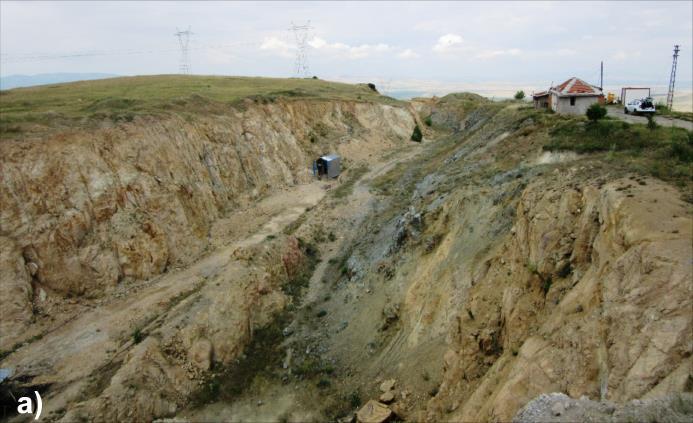 kesen ağsı damarcıklar şeklindedir (Şekil 3.1.b,c).