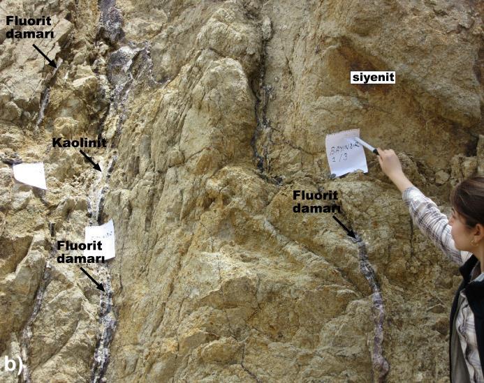 Mor ve yeşil renkli florit kristalleri iç içe geçmiş girift bir görünüm sergilemektedir (Şekil 3.1.d).